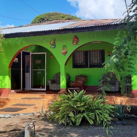 Hospedaje Tropical Dreams South End Kültér fotó